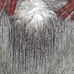 Suri alpaca fleece